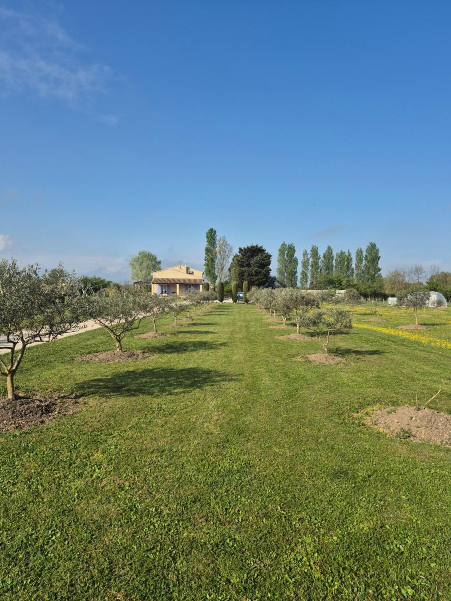 LʼIsle-sur-la-Sorgue Mas Clement - Chambre Et Table D'Hotes المظهر الخارجي الصورة