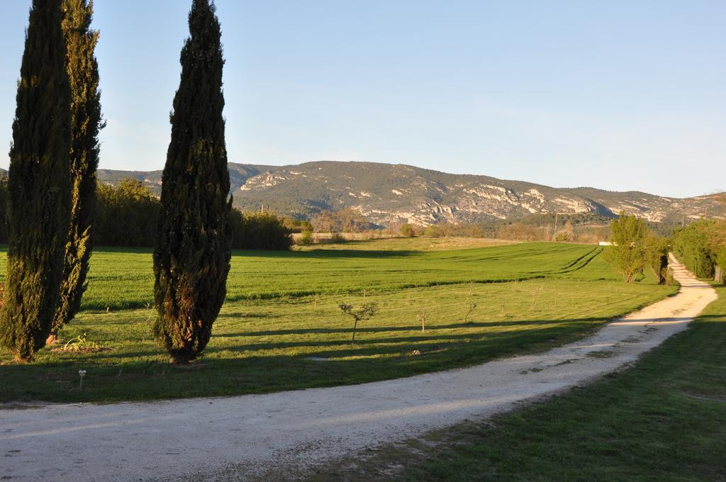 LʼIsle-sur-la-Sorgue Mas Clement - Chambre Et Table D'Hotes المظهر الخارجي الصورة